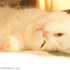 photo of today #29