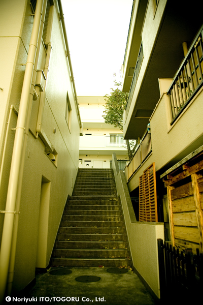 大人の階段