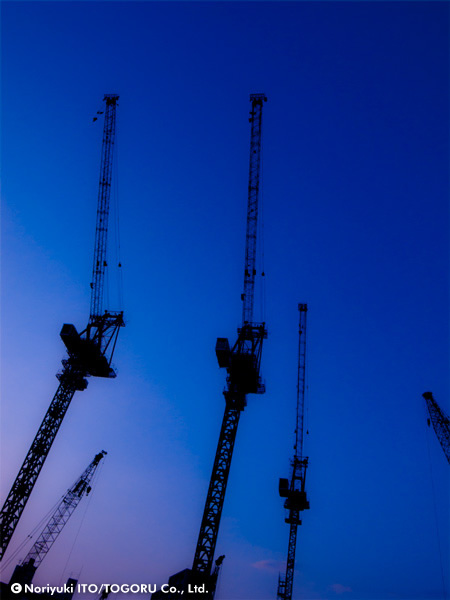 20100605-crane.jpg