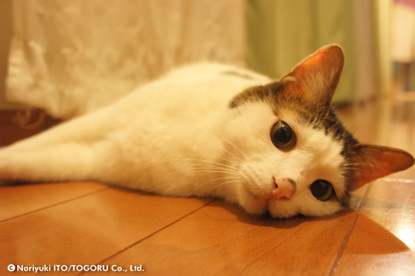 20100701_DSC00337.jpg