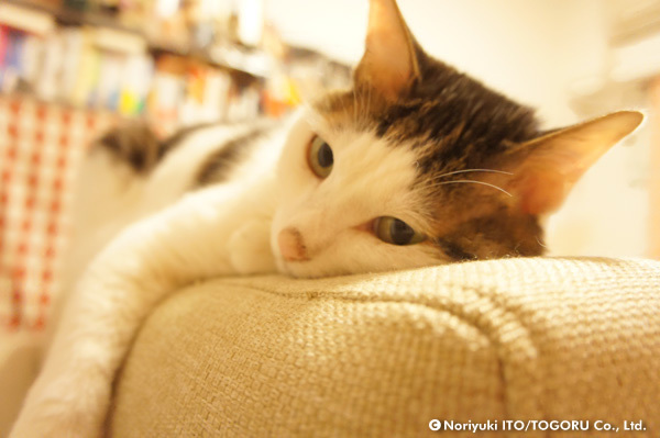 20100705_DSC00344.jpg