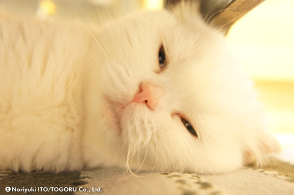 20100705_DSC00364.jpg