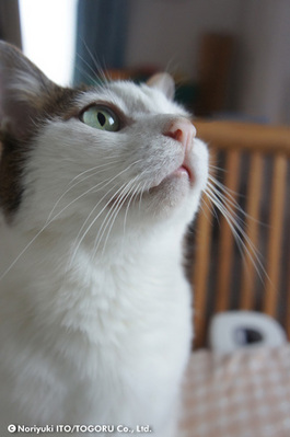 20100705_DSC00380.jpg