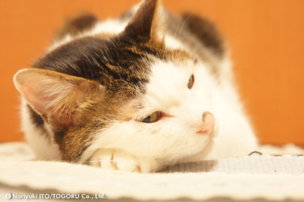 20100705_DSC00477.jpg