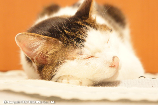20100705_DSC00480.jpg