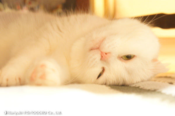 20100705_DSC00483.jpg