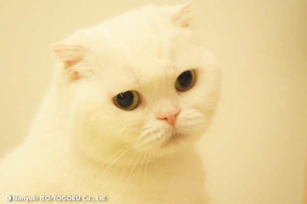 20100707_DSC00523.jpg