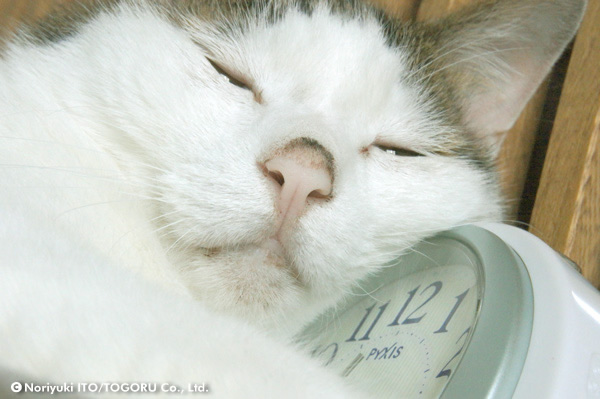 20100707_DSC00537.jpg