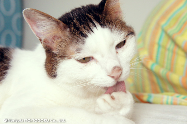 20100708_DSC00405.jpg