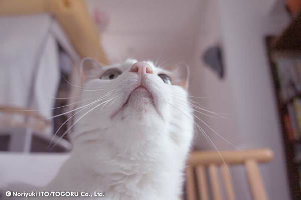20100708_DSC00578.jpg