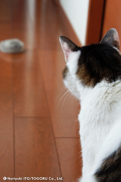 20100708_DSC00597.jpg