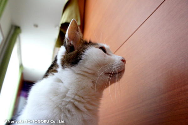 20100708_DSC00603.jpg