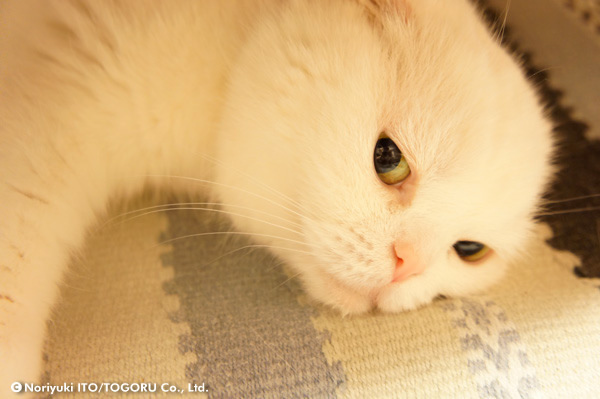 20100712_DSC00644.jpg
