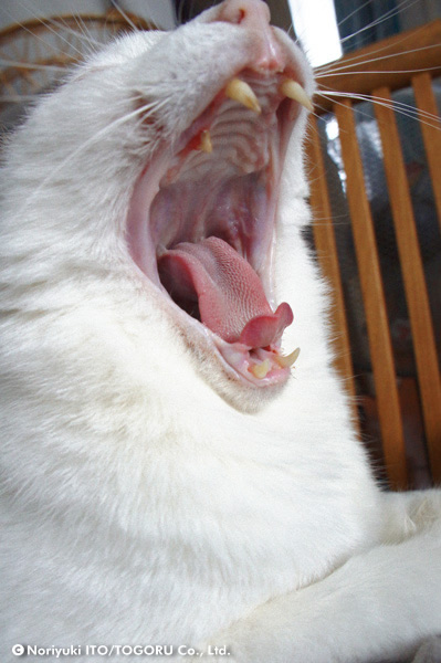 20100716_DSC00763.jpg