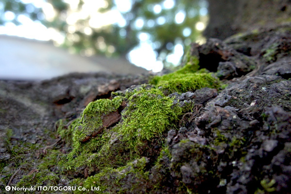 20100719_DSC00861.jpg