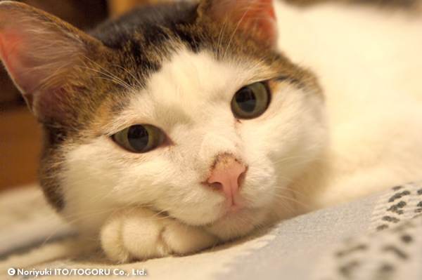 20100722_DSC00884.jpg