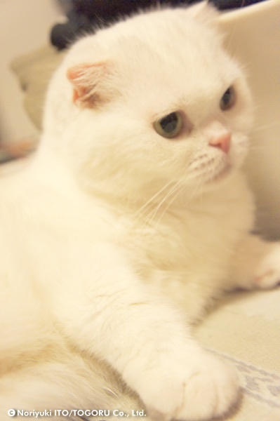 20100722_DSC00893.jpg