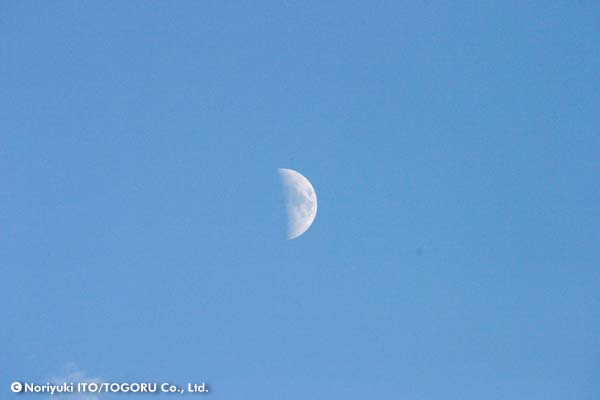aftermoon.jpg