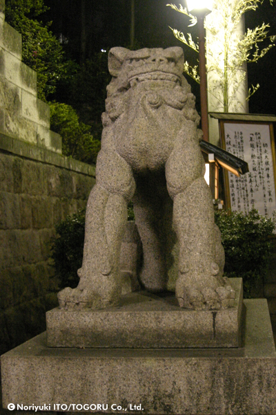 乃木神社の踏ん張り狛犬
