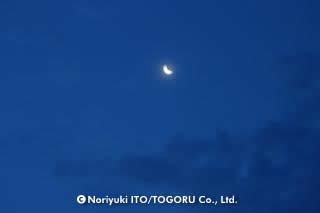 おぼろ月夜