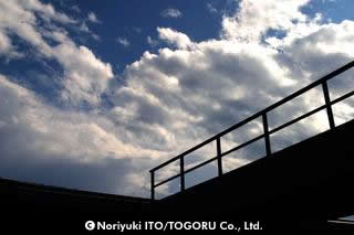 夏の雲